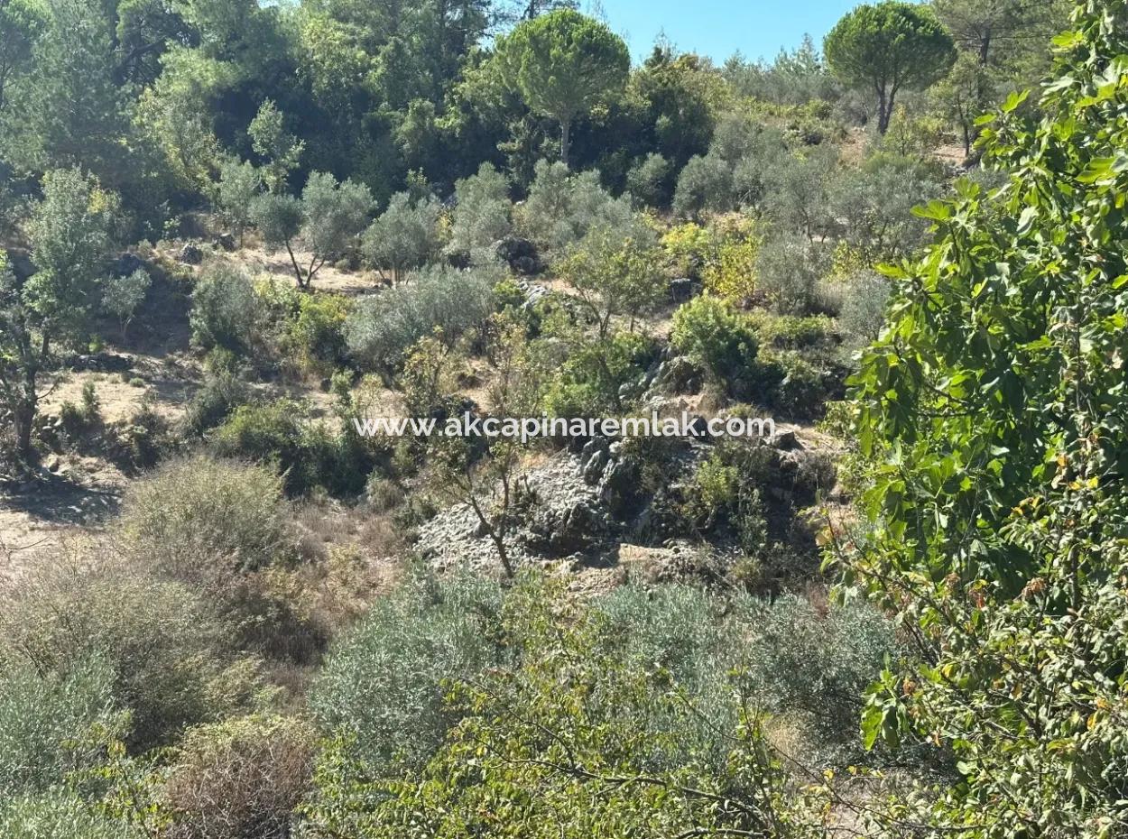 Zoniertes Land Zum Verkauf