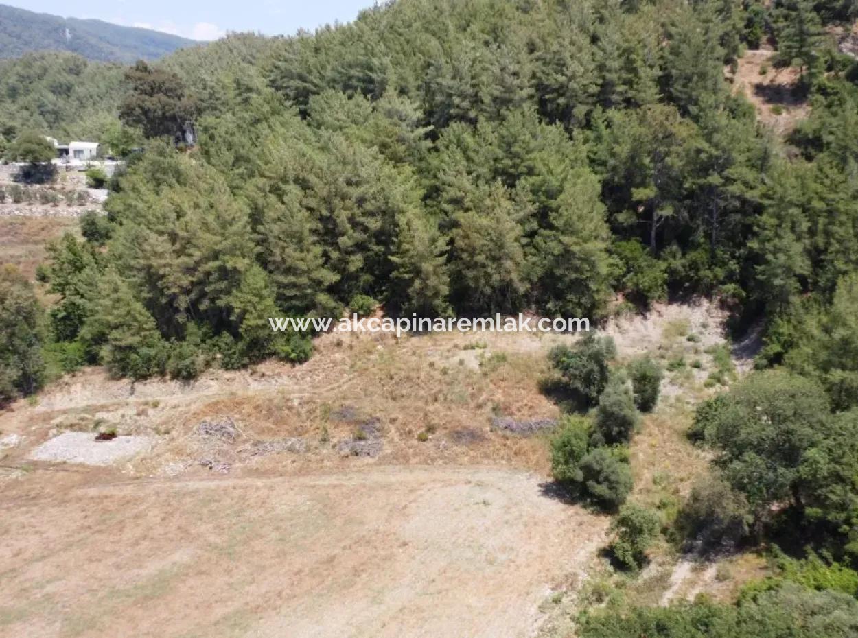 Zoned Land For Sale In Çıtlık