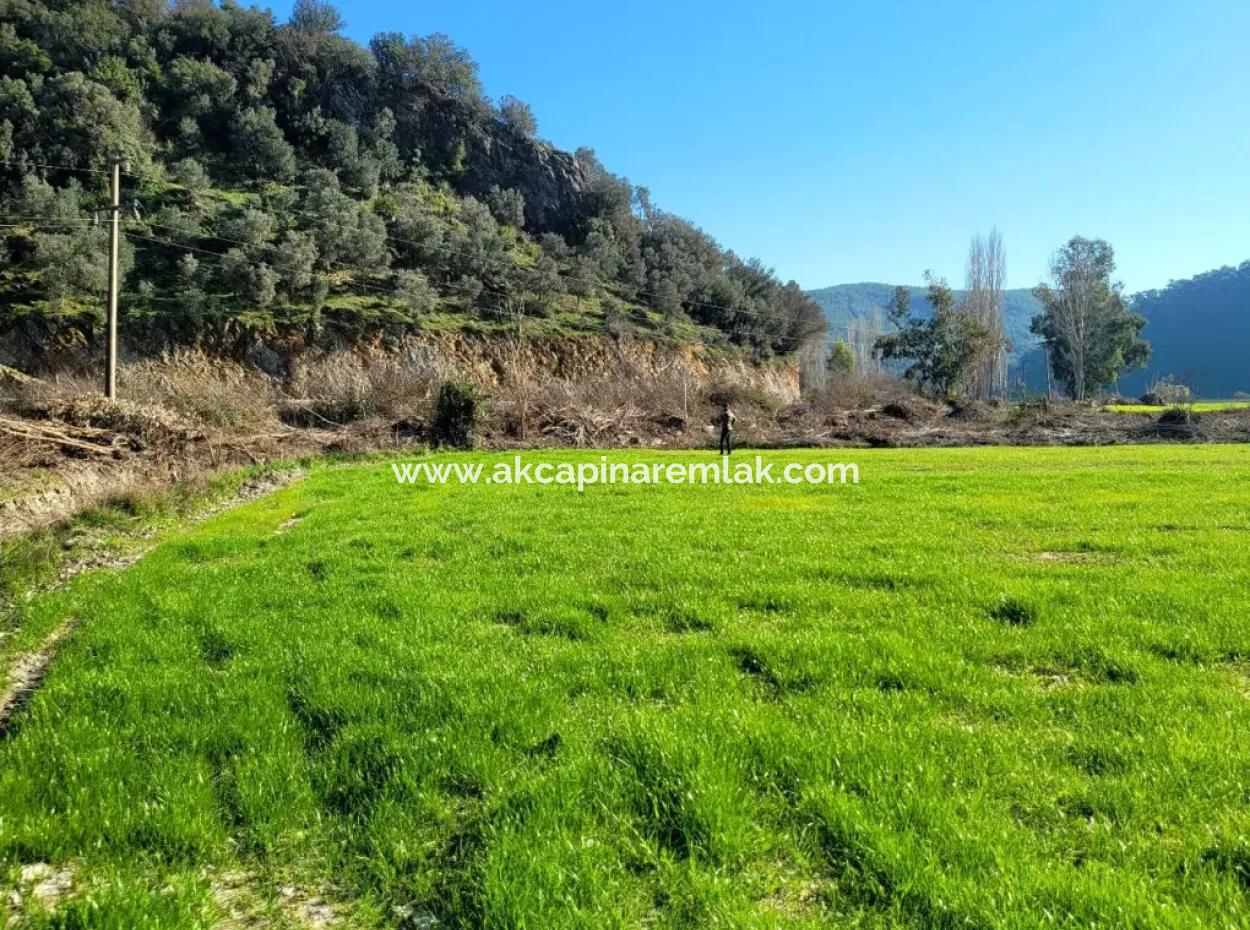 Investment Land For Sale