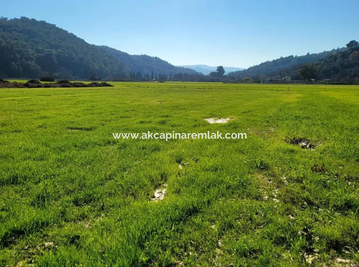 Investment Land For Sale