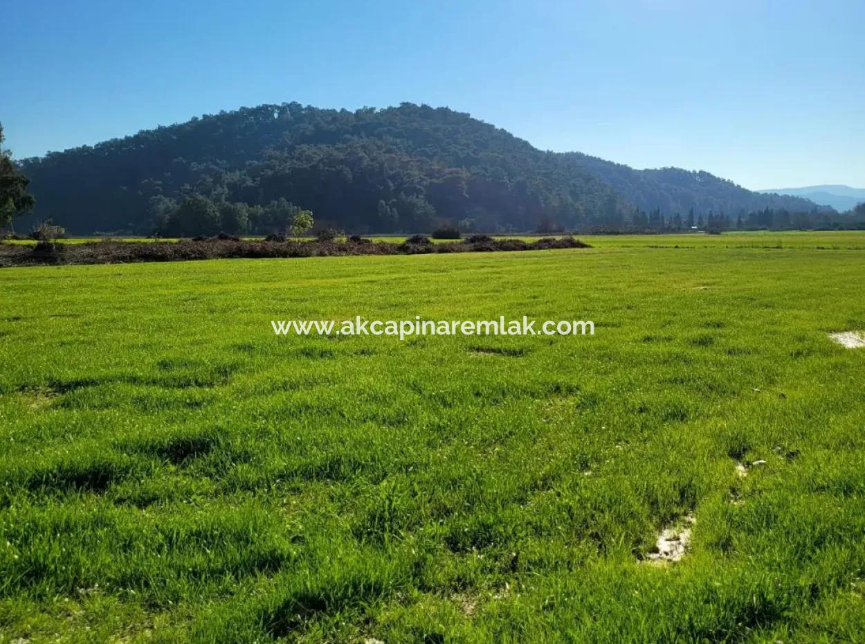 Investment Land For Sale