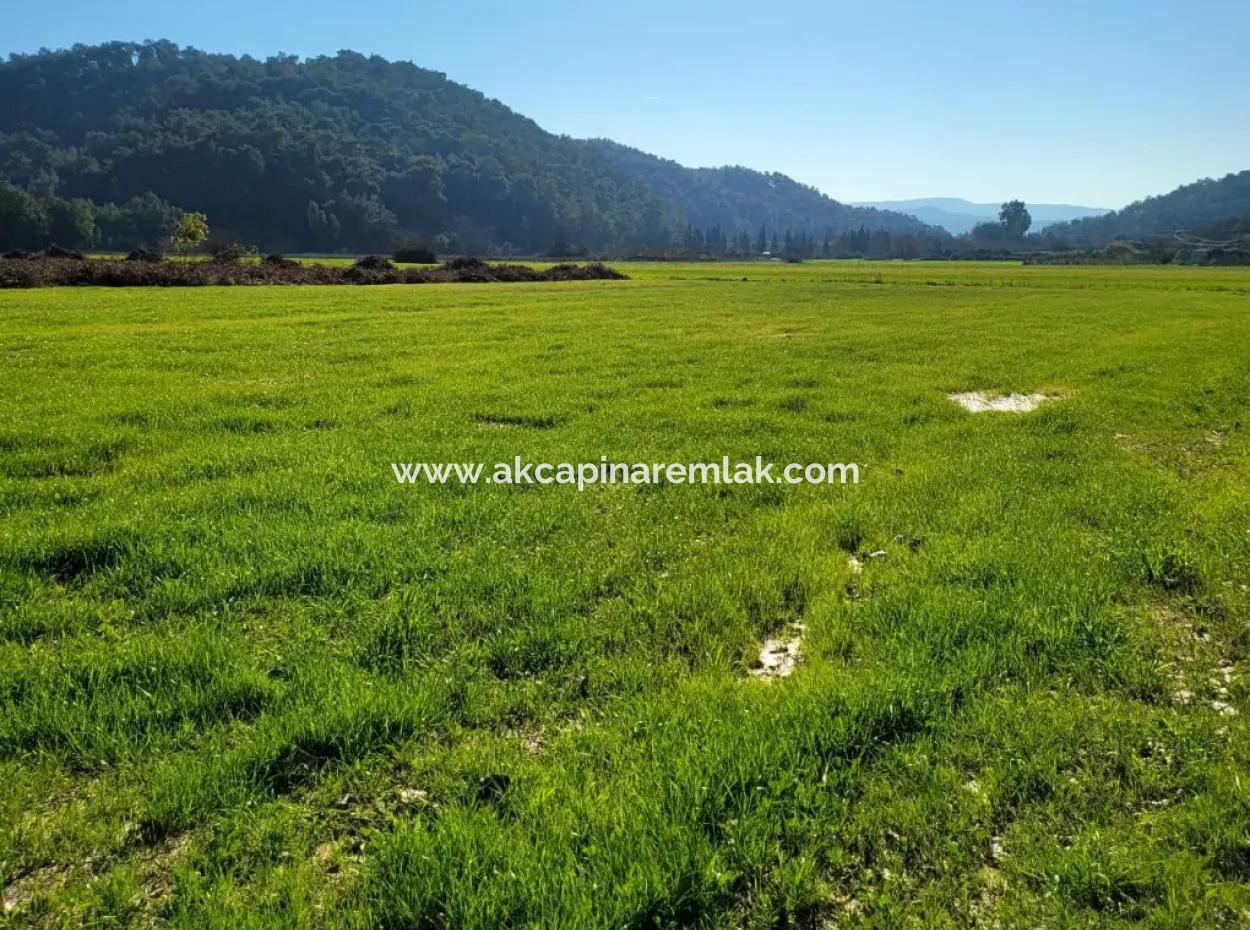 Investment Land For Sale