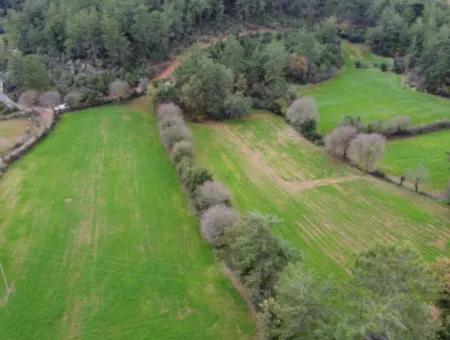 Field Suitable For Investment For Sale In Esentepe
