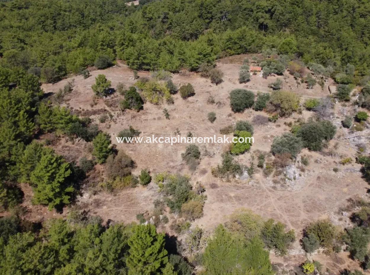 Satılık İmarlı Tarla