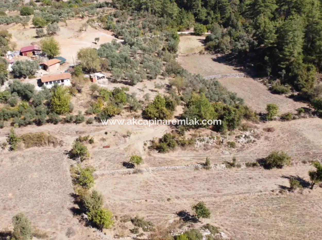 Satılık Yatırımlık İmarlı Tarla